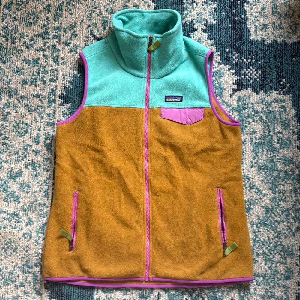 Vintage Colorblock Patagonia Vest